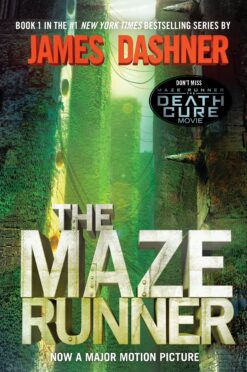 maze-runner-1