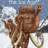 what-was-the-ice-age