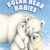 polar-bear-babies