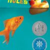 rules-2