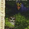 guardians-of-gahoole-10-comin