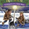 magic-tree-house-33-narwhal-on-a-sunny-night