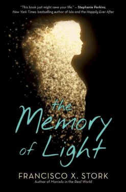 memory-of-light-2