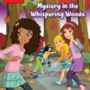 lego-friends-mystery-in-the-wh