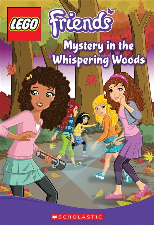 lego-friends-mystery-in-the-wh
