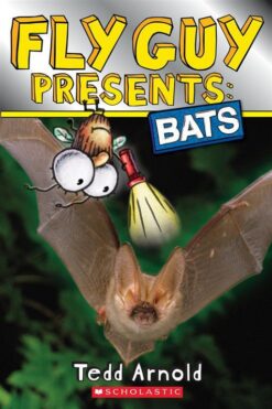 fly-guy-presents
