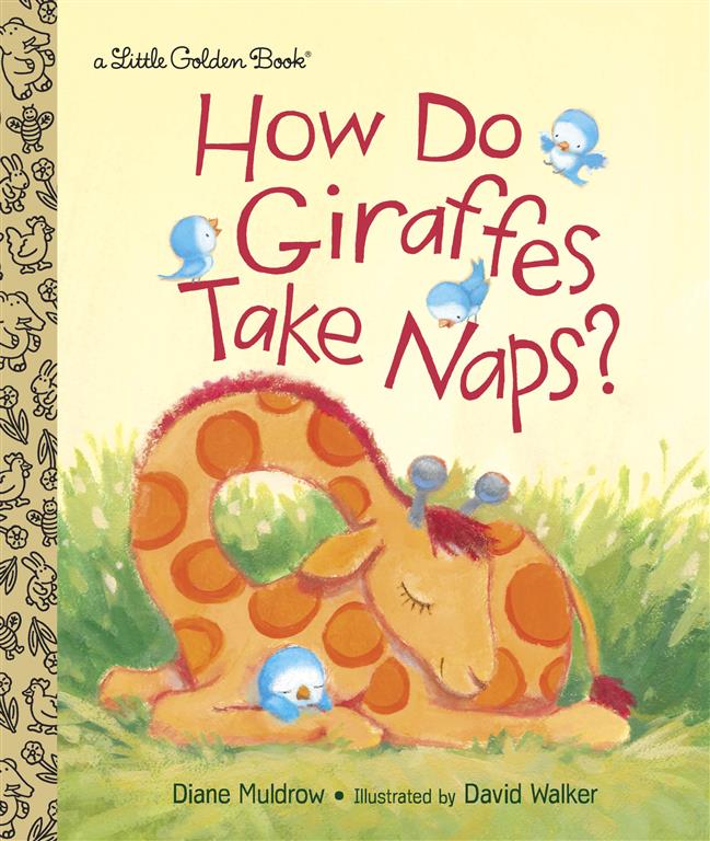 how-do-giraffes-take-naps