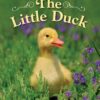 the-little-duck