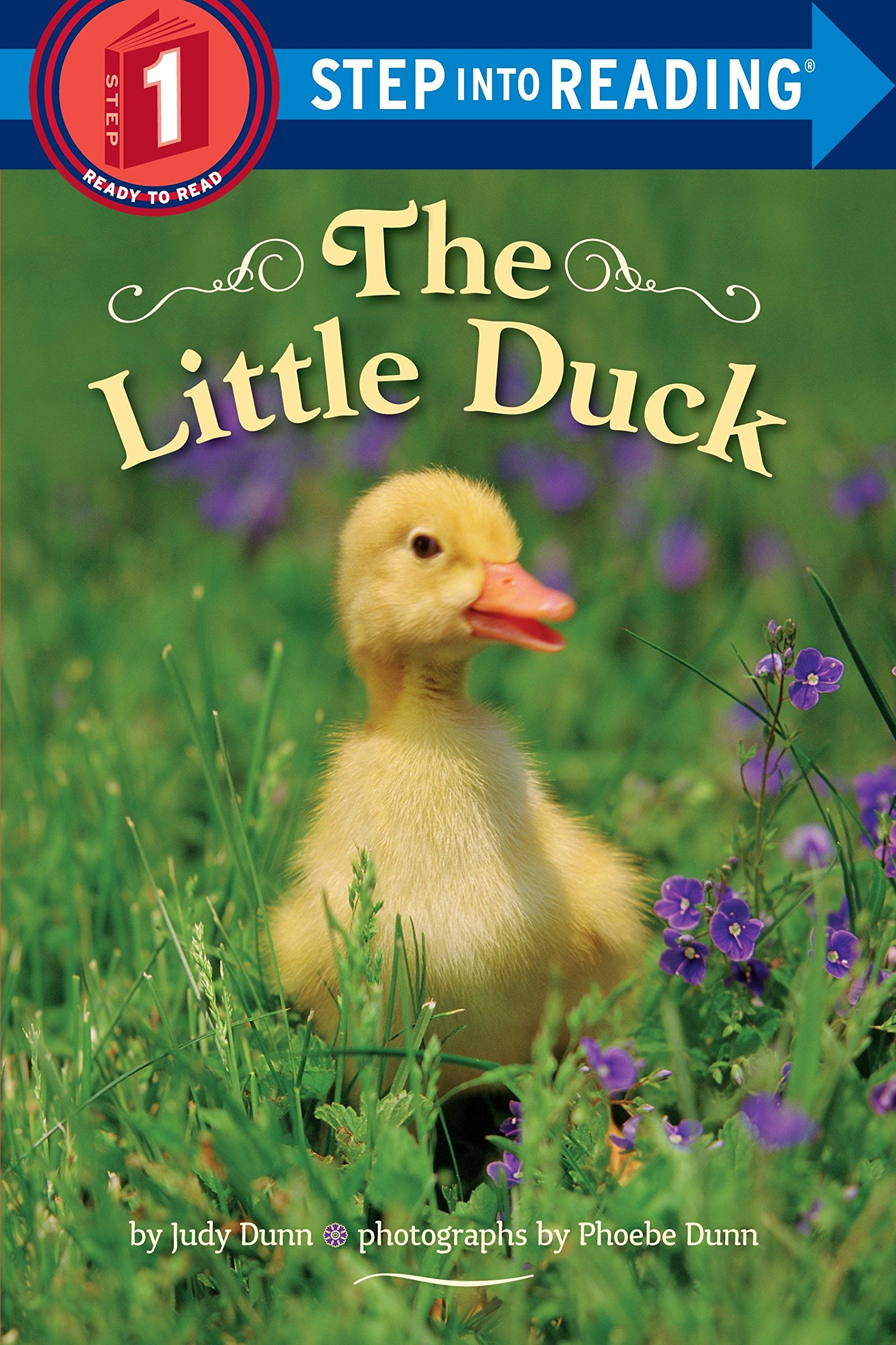 the-little-duck