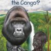 where-is-the-congo