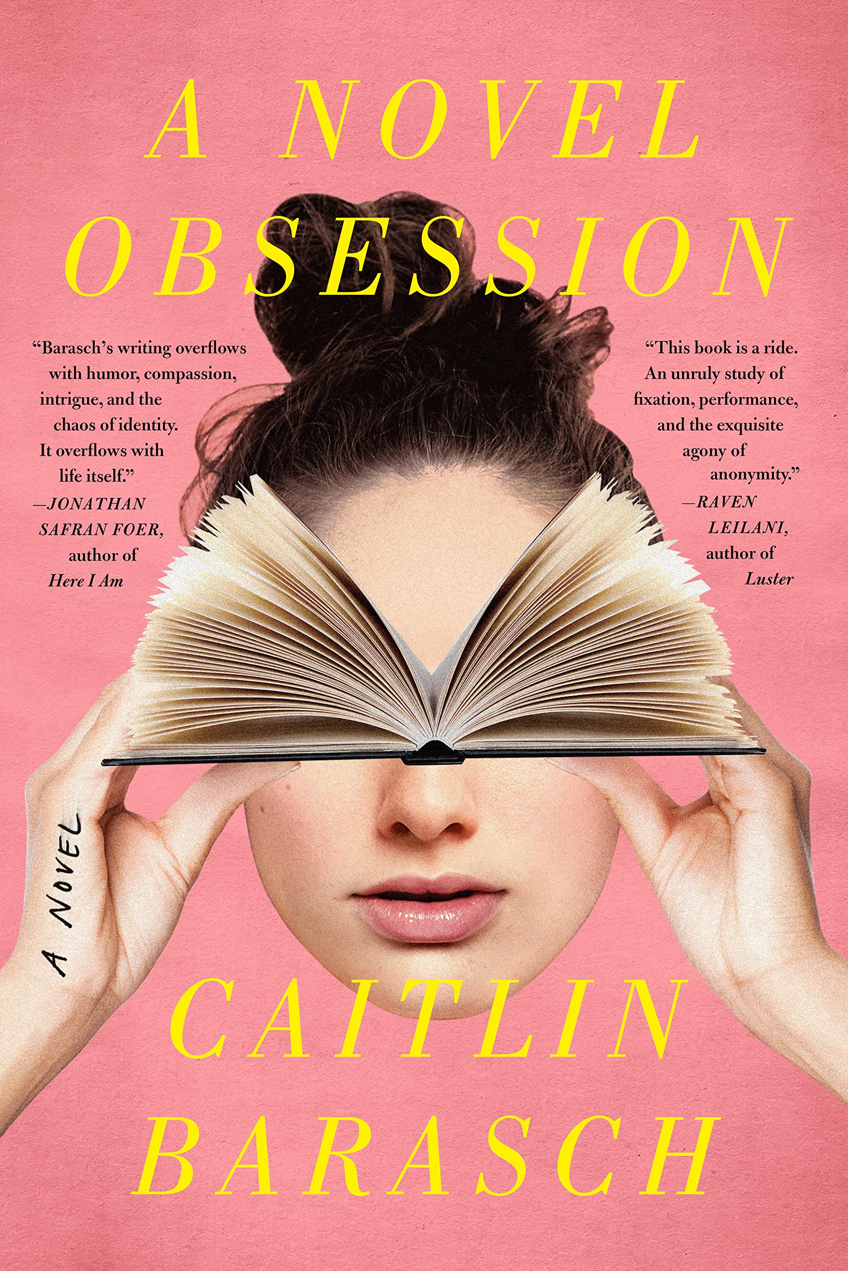 a-novel-obsession