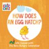 how-does-an-egg-hatch