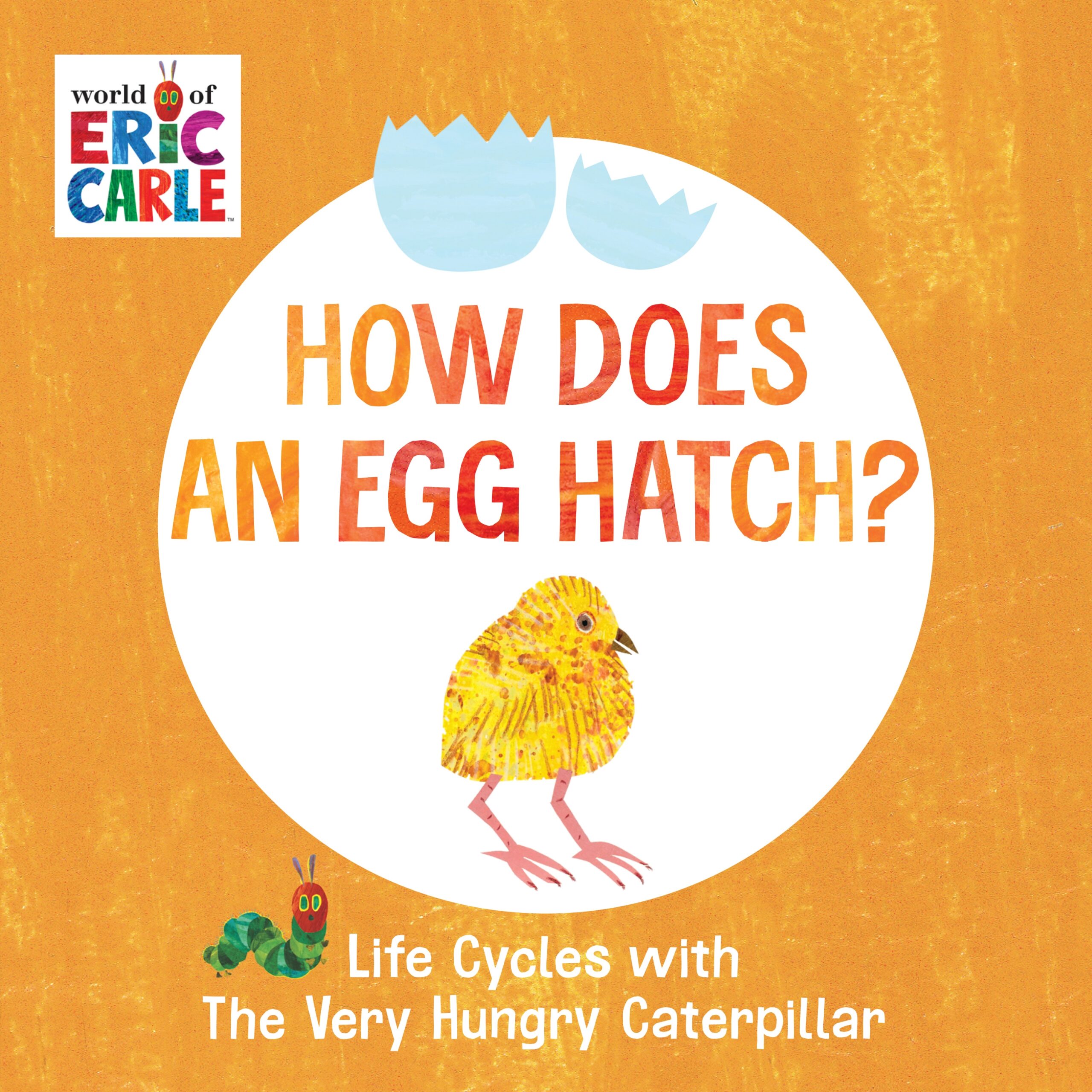 how-does-an-egg-hatch