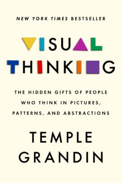 visual-thinking