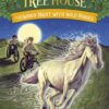 magic-tree-house-39-windy-night-with-wild-horses