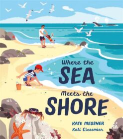 where-the-sea-meets-the-shore