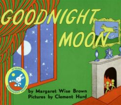 goodnight-moon-3