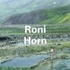 roni-horn