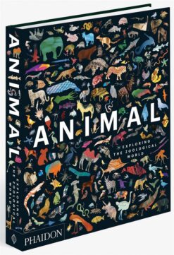 animal-exploring-the-zoologic