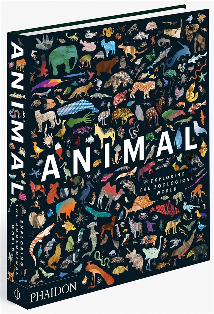 animal-exploring-the-zoologic