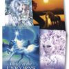 oracle-of-the-unicorns-2