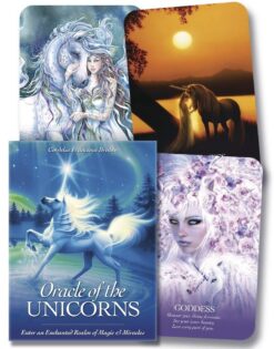 oracle-of-the-unicorns-2