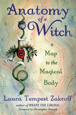 anatomy-of-a-witch