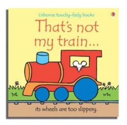thats-not-my-train-touchy-fee