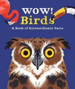 wow-birds