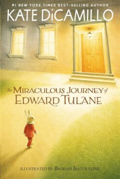 miraculous-journey-of-edward-t