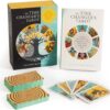 the-time-changers-tarot-reading-for-yourself-your-communi