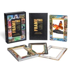 frame-this-oracle-a-tool-to-deepen-your-card-readings-and-r
