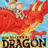 how-to-catch-a-dragon