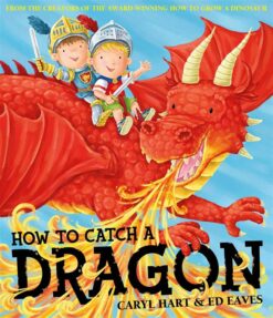 how-to-catch-a-dragon