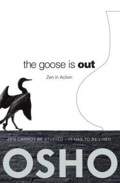 the-goose-is-out