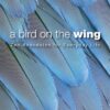 a-bird-on-the-wing