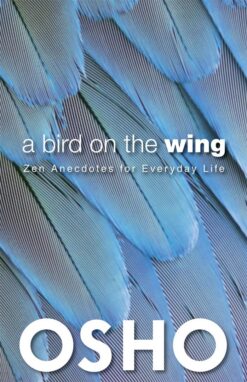 a-bird-on-the-wing