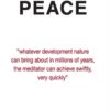 the-search-for-peace