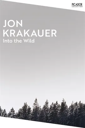 into-the-wild-2