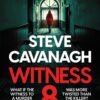 eddie-flynn-8-witness-8