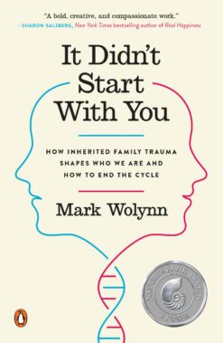 it-didnt-start-with-you-how-inherited-family-trauma-shapes-who-we-are-and-how-to-end-the-cycle