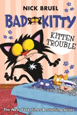 bad-kitty-kitten-trouble