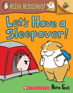 lets-have-a-sleepover