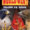 falcon-vs-hawk