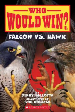 falcon-vs-hawk
