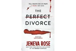 the-perfect-divorce