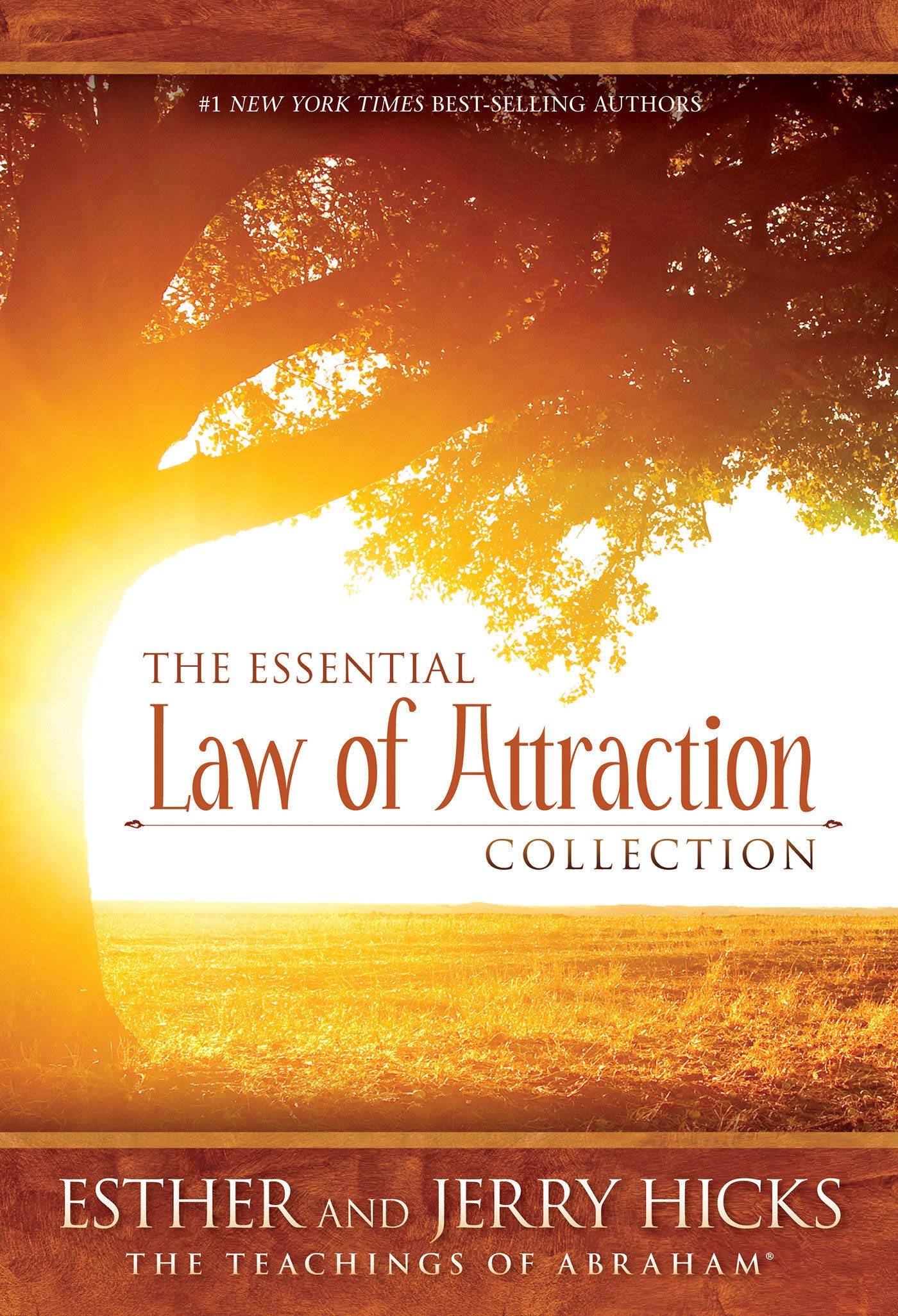 the-essential-law-of-attractio