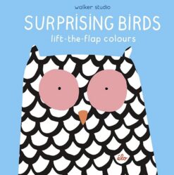 surprising-birds