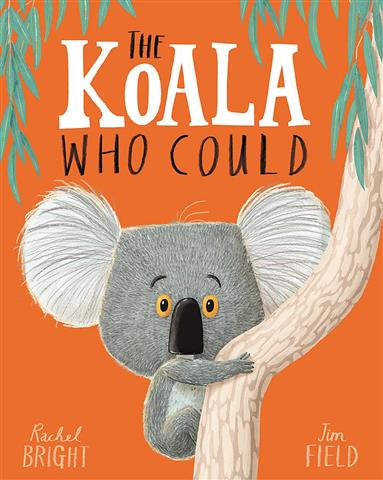 koala-who-could-2