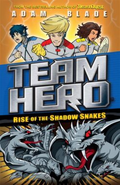 Team Hero Rise of the Shadow S | ISBN 9781408343654 | Kalimat Store